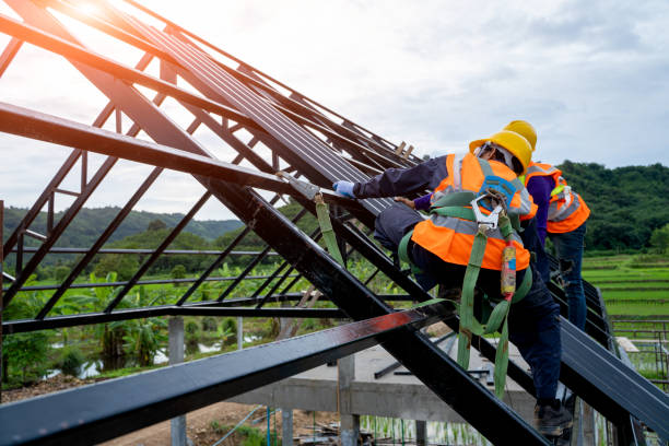 Best Shingle Roofing Installation  in Banks Springs, LA